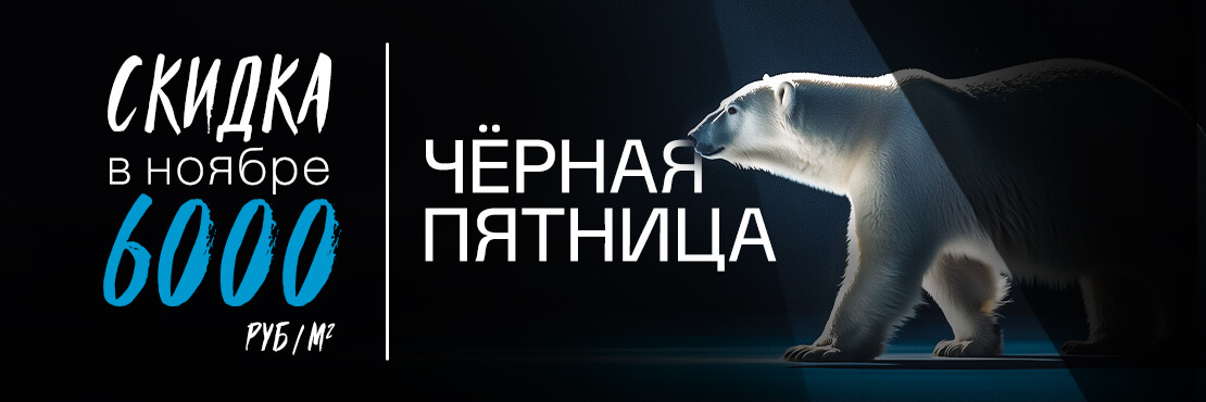 Черная пятница