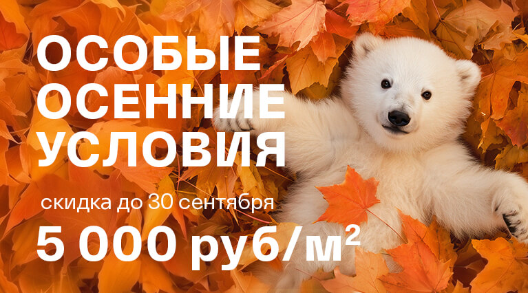 Особые осенние условия