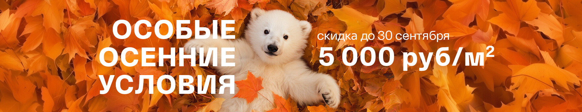 Особые осенние условия