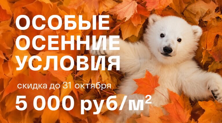Особые осенние условия