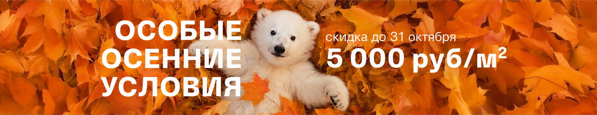 Особые осенние условия